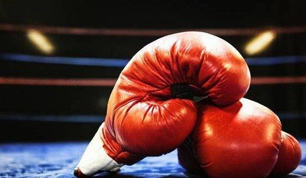 واکنش ثوری به ناپدید شدن بوکسور تیم ملی در اتریش واکنش ثوری به ناپدید شدن بوکسور تیم ملی در اتریش