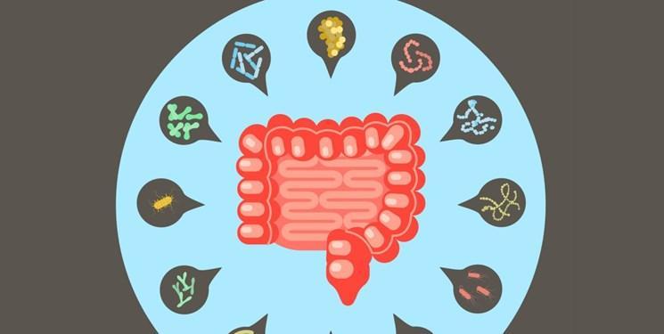 کشف باکتری جدید عامل دیابت در روده