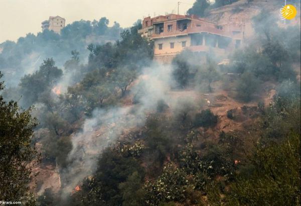 42 کشته در آتش سوزی های الجزایر