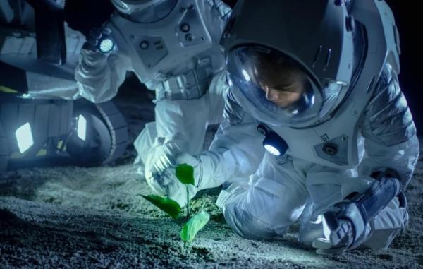 دانشمندان برای نخستین بار در خاک ماه گیاه پرورش دادند