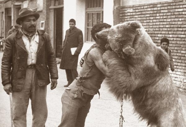 عکس های دیدنی از کشتی گرفتن با خرس در تهران قدیم!
