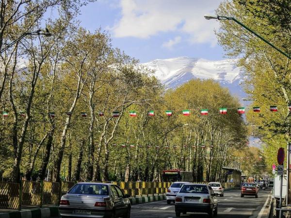 تعویض 300 درخت چنار خیابان ولیعصر تهران به زودی ، دلیل این تصمیم چیست؟